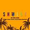 About Shwele Song