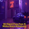 About DJ Ciperi Pam Pam X Muka Kaya Kingkong Song