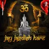 About Om Jai Jagdish Hare Song