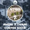 About Cortex Iuxta Song