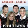 Pravi slovenec