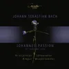About Johannespassion, BWV 245: "Erster Teil. Choral. O große Lieb"-2nd Version. 1725 Song