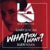 About What You Want-Suer Remix Song