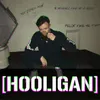 About Hooligan Song