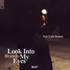 Look into My Eyes Syn Cole Remix