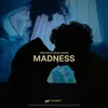 About Madness Song