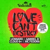 Love Can't Destroy