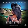 About Ntyilo Ntyilo Song