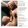 About Johannes Passion, Op. 123, BWV 245: Wer hat dich so geschlagen Song
