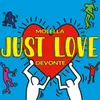 About Just Love Song