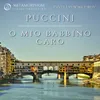 Gianni Schicchi, SC 88: "O Mio Babbino Caro" Arr. for String Orchestra