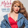 About Sana Söz-Bew3adak Song