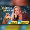 Uçun Kuşlar Uçun