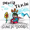 Güneşe Doğru