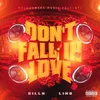 About Don't Fall In Love Song