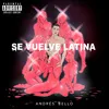 About Se Vuelve Latina Song