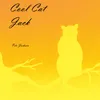 About Cool Cat Jack Song