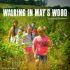 About Walking in May's Wood Song