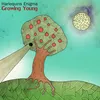 Growing Young (Two Thousand And Seventeen-Aging)