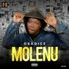 About Molenu Song