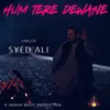 About Hum Tere Dewane Song