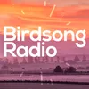 Birdsong Radio