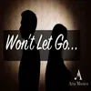 About Won't let go Song