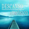 About Amor Único Song