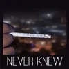 About Never Knew Song