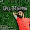 About Dil Mere Song