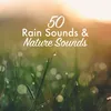 About Raindrops Everywhere Song