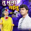 About Tu Bhula Gailu - Bhojpuri Sad Song Song