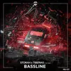 About Bassline (feat. MC Tools) Song