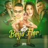 About Beija Flor Song