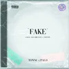 About Fake Song