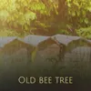 Old bee tree