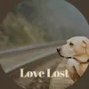 Love Lost