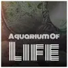 About Aquarium Of Life Song