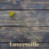 Loversville