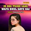 About Jo Bhi Tujhe Jane Wafa Bhul Gaye Hai Song