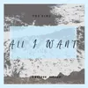 About ALL I WANT Remix Song