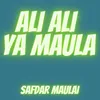 About Ali Ali Ya Maula Song