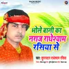 About Bhole Bani Ka Naraz Radheshyam Rasiya Se Song