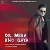 About Dil Mera Kho Gaya Song