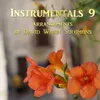 Herz und Mund und Tat und Leben, BWV 147: VI. Chorale: Wohl mir, daß ich Jesum habe - X. Jesu, Joy of Man's Desiring (Arr. by David Warin Solomons for Flute Quartet and Strings)