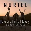 About Beautiful Day Song