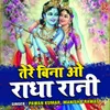 Tere Bina O Radha Rani