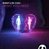 About What You Need (feat. Bel Cuda) Song