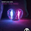 About What You Need (feat. Bel Cuda) Song