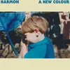 About A New Colour Song
